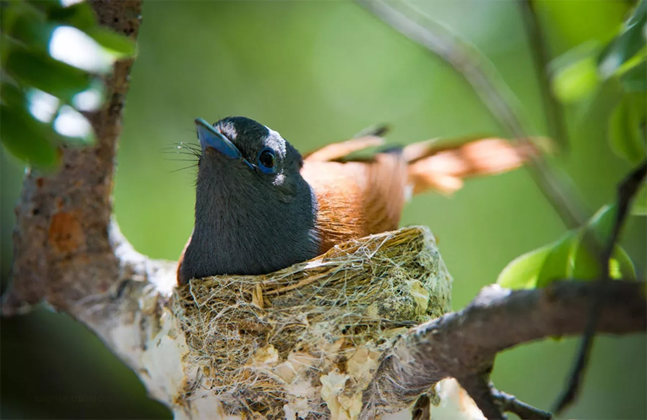 Namíbia Luxo by Wilderness